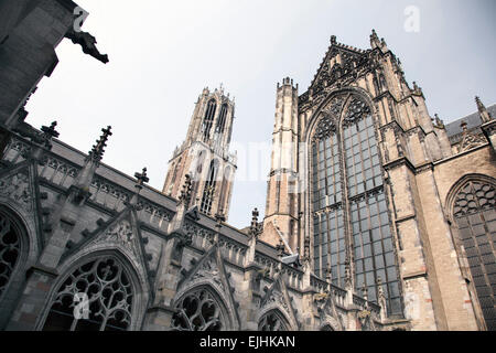 L'église et la tour dom dans la ville néerlandaise d'Utrecht vu depuis le jardin de la cathédrale Banque D'Images