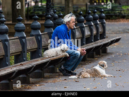 L'homme sur banc avec deux chiens, Central Park, New York, USA Banque D'Images