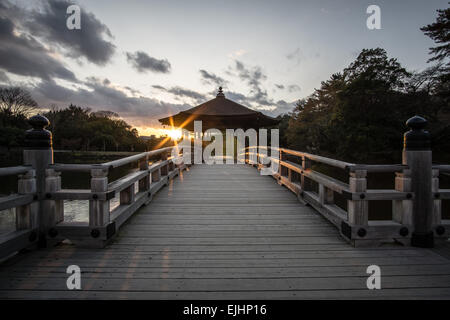 Coucher de soleil derrière un bâtiment japonais en bois au bout d'un pont au-dessus de l'étang Sagi Ike à Nara Park, Japon Banque D'Images