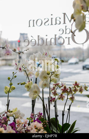 Maison de l'Orchidee orchid boutique, Paris, France Banque D'Images