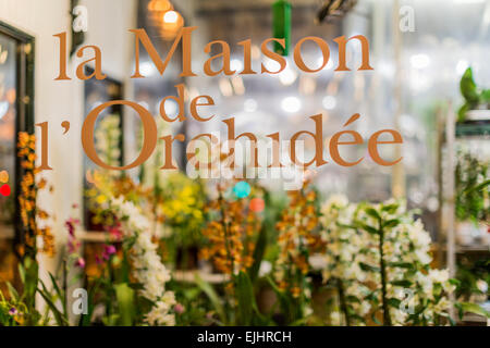 Maison de l'Orchidee orchid boutique, Paris, France Banque D'Images