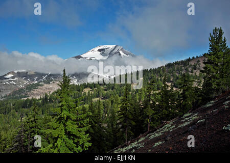 OREGON - La soeur du sud après une tempête de neige au milieu de l'été de trail à Green Lakes dans la région sauvage de trois Sœurs près de Bend Banque D'Images