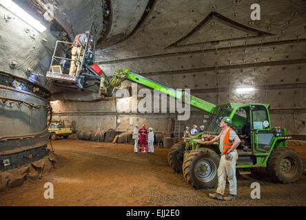 Salzgitter, Allemagne. Feb 17, 2015. Un géologue examine un point de mesure à l'avenir 'chacht référentiel nucléaire Konrad' dans Salzgitter, Allemagne, 17 février 2015. «Chacht Konrad' est une mine de minerai de fer désaffectée, destiné au stockage de jusqu'à 303000 mètres cubes de faible à moyennement radioactifs à une profondeur de 1000 mètres. Chacht "Konrad" est le seul établissement approuvé pour la repository jusqu'à présent. Photo : Spata Ole/dpa/Alamy Live News Banque D'Images