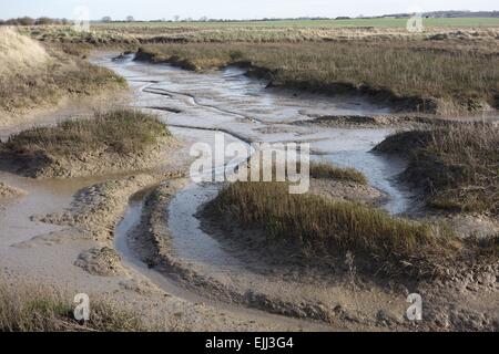 Crouch, le marais de l'estuaire de l'atmosphère avec des signes de changements de marée et les pistes dans la boue. Banque D'Images