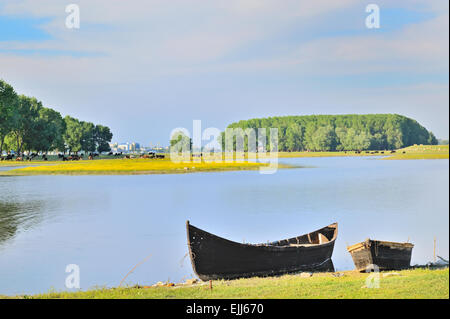 Voile sur les rives du Danube dans le printemps ! Banque D'Images