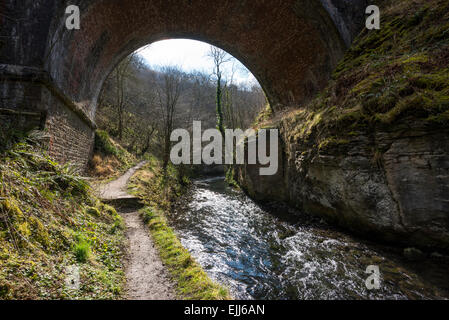 Vieux pont de chemin de fer sur le sentier Monsal sur la rivière Wye dans Chee Dale, Derbyshire. Chemin à côté de la rivière. Banque D'Images