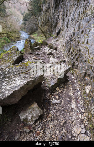 Falaise calcaire spectaculaire surplombant la rivière Wye dans Chee Dale, Derbyshire. Banque D'Images