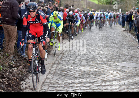 Flandre orientale, Belgique. Mar 27, 2015. Tour cycliste UCI. E3 Harelbeke. Daniel Oss de BMC Racing Team Crédit : Matteo Trentin et Plus Sport Action/Alamy Live News Banque D'Images