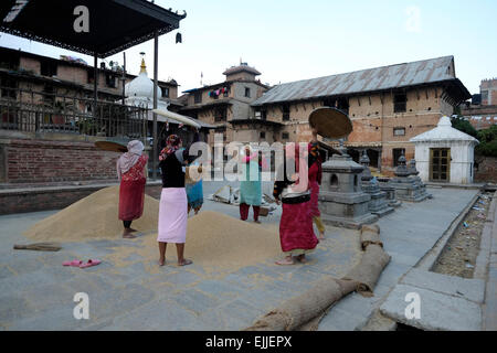 Les femmes népalaises le battage du grain en mode traditionnel à la cour du temple de Rato Machhendranath le dieu patron de Patan dans le village de Bungamati Newar traditionnelle une ville dans le district de Lalitpur, au Népal. Banque D'Images