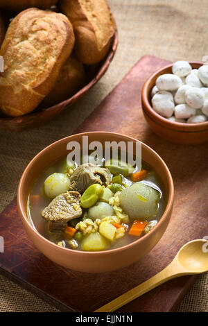 Soupe bolivienne traditionnelle appelée Chairo de Tunta (tunta est une typique pommes de terre lyophilisées dans les régions andines) Banque D'Images