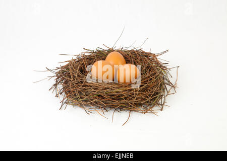 Nid d'oiseaux avec des oeufs de poule fait d'aiguilles de pin. Plus isolé sur fond blanc Banque D'Images