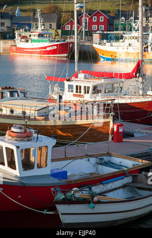 Les bateaux de pêche amarrés dans le port de Dingle, Kerry, Irlande. Banque D'Images