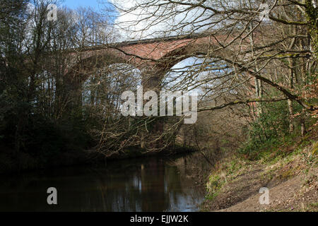 Viaduc dans le cadre du chemin de fer de Derwent à pied et l'autre route traversant la rivière Derwent à côté de Rowlands Gill. Banque D'Images