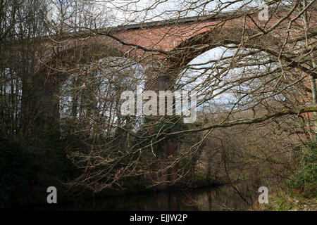 Viaduc dans le cadre du chemin de fer de Derwent à pied et l'autre route traversant la rivière Derwent à côté de Rowlands Gill. Banque D'Images