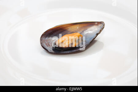 Fermer vue détaillée de bouillie de moules dans une assiette. Isolé sur fond blanc Banque D'Images