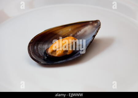 Fermer vue détaillée de bouillie de moules dans une assiette. Isolé sur fond blanc Banque D'Images