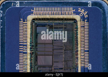 Close-up d'un Intel 80486DX ouvert (I486) microprocesseur, l'un des processeurs les plus populaires pour les ordinateurs personnels dans les années 90. Banque D'Images