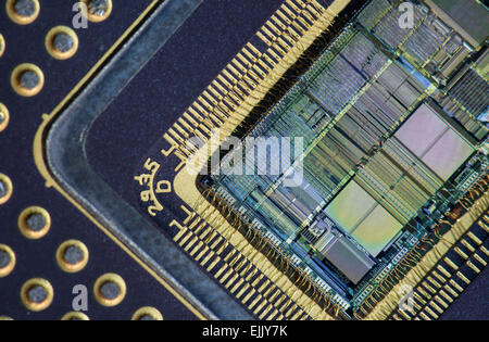 Close-up d'un Intel 80486DX ouvert (I486) microprocesseur, l'un des processeurs les plus populaires pour les ordinateurs personnels dans les années 90. Banque D'Images