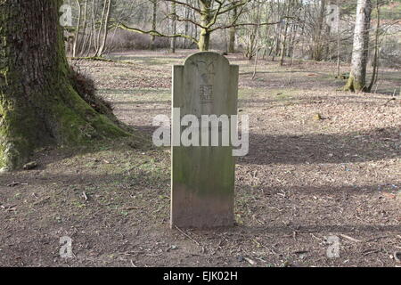 Panneau près de l'Écosse de birnam oak mars 2015 Banque D'Images