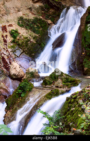 Cascade dans Forêt profonde près de Lillafured-Hungary Banque D'Images