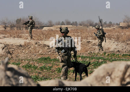 La FPC. Franklin Sena, un fantassin et tactique de chien de détection d'explosifs avec l'entreprise C, 4e Bataillon, 9e Régiment d'infanterie, la Force opérationnelle combinée 4-2 4e Stryker Brigade Combat Team, 2e Division d'infanterie, et son chien, Livee, travailler ensemble au cours de leur première mission en équipe lors d'une patrouille à pied, dans Shubazai 7 février, en Afghanistan. Sena a reçu neuf semaines de formation d'être un gestionnaire de TEDD et est actuellement déployé en Afghanistan dans le cadre de l'opération Enduring Freedom. Le Sgt. Kimberly Hackbarth, 4e SBCT, 2e Inf. Div. Bureau des affaires publiques Banque D'Images