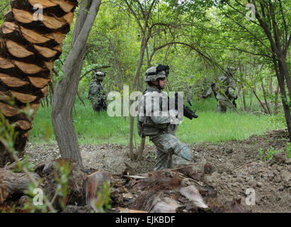 Des soldats de la Compagnie B, 2e Bataillon, 35e Régiment d'infanterie, 25e Division d'infanterie, de Schofield Barracks, Missouri, recherche d'insurgés et des armes dans les palmeraies d'qubah, l'Iraq, le 25 mars. L'entreprise a aidé les troupes de la 82e division aéroportée dans l'élimination des insurgés de plusieurs villages dans le bassin de la rivière Diyala. La mission fait partie d'une opération militaire dans la province de Diyala visant à perturber les activités terroristes. Banque D'Images