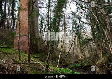 Un segment d'Foegoesburn viaduc qui enjambe les gorges de l'Foegoes brûler sur le chemin de fer à pied de Derwent, dans le comté de Durham. Banque D'Images