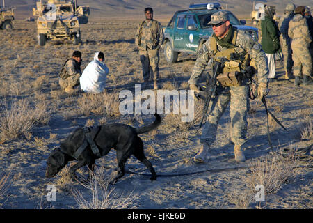 Le sergent de l'armée américaine. Marcin Radwan et le sergent. L'ours, le 49e Détachement Mine Dog, vous pouvez chercher des mines et explosifs sur un nouveau poste de contrôle pendant le fonctionnement de l'Koranai Permakhtag site près de Bora Jengi, l'Afghanistan, du 22 décembre 2010. La mission principale de fonctionnement de l'Koranai Permakhtag est la construction d'un nouveau contrôle de la police frontalière afghane à Bora Jengi. La CPS. Ian Schell Banque D'Images