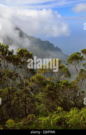 Kalalau valley et de nuages le long de la crête le long du sentier dans Pihea Kokee State Park, Kauai Hawaii. Banque D'Images