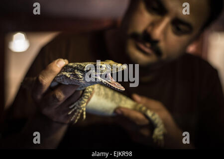 Beijing, l'Égypte. 24Th Mar, 2015. Mamdouh Tolba, un 37-year-old, concessionnaire des animaux montre un lézard à son domicile dans le village d'Abou Rawash à Gizeh, Egypte, Mars 24, 2015. © Chaoyue Pan/Xinhua/Alamy Live News Banque D'Images