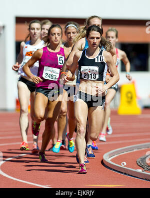 28 mars 2015 : # 2919 Seules Mecke Dana menant la Women's 1500 mètres tourner à la 88e Nike Clyde Littlefield Texas Relais, Mike A. Myers Stadium. Austin, Texas. Banque D'Images