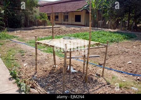 Une table en bambou repose près d'une culture de la laitue verte cultivée à l'Université de l'Agriculture dans la province de Kampong Cham, au Cambodge. Banque D'Images