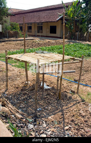 Une table en bambou repose près d'une culture de la laitue verte cultivée à l'Université de l'Agriculture dans la province de Kampong Cham, au Cambodge. Banque D'Images