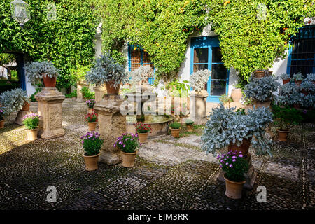 La cour des Bars l'une des terrasses du jardin des jardins du Palacio de Viana à Cordoue Banque D'Images