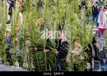 Cité du Vatican, Italie. 29 mars 2015. Le pape François, Dimanche des palmiers - 29 mars 2015 Credit : Realy Easy Star/Alamy Live News Banque D'Images