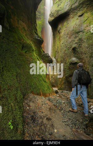 Male hiker dans Emerald Canyon et cascade à Sombrio Beacj-Port Renfrew, British Columbia, Canada. Banque D'Images