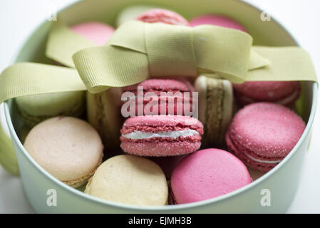 Macarons français aux couleurs pastel Banque D'Images