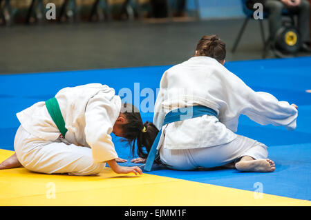 , Région d'Orenbourg, en Russie, le 29 novembre, 2014 année. Championnat de judo chez les juniors et les filles. Le judoka de fille Banque D'Images