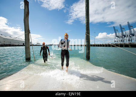 Auckland, Nouvelle-Zélande. Mar 28, 2015. Auckland, Nouvelle-Zélande - 28 mars 2015 - sortie des athlètes l'eau pendant l'étape de natation 2015 à la série mondiale de Triathlon international de formation de l'élite le 28 mars 2015 à Auckland, en Nouvelle-Zélande. © dpa/Alamy Live News Banque D'Images