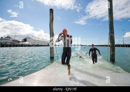 Auckland, Nouvelle-Zélande. Mar 28, 2015. Auckland, Nouvelle-Zélande - 28 mars 2015 - sortie des athlètes l'eau pendant l'étape de natation 2015 à la série mondiale de Triathlon international de formation de l'élite le 28 mars 2015 à Auckland, en Nouvelle-Zélande. © dpa/Alamy Live News Banque D'Images