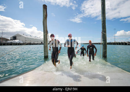 Auckland, Nouvelle-Zélande. Mar 28, 2015. Auckland, Nouvelle-Zélande - 28 mars 2015 - sortie des athlètes l'eau pendant l'étape de natation 2015 à la série mondiale de Triathlon international de formation de l'élite le 28 mars 2015 à Auckland, en Nouvelle-Zélande. © dpa/Alamy Live News Banque D'Images