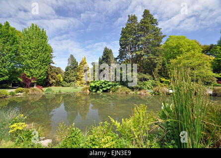 Ce lac au Jardin botanique de Christchurch, Nouvelle-Zélande, a été construit pour le jardin anglais style. Banque D'Images