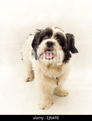 Un fireman Banque D'Images