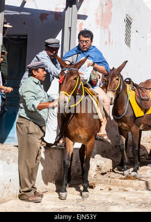 L'aide de tourisme sur une mule (âne) pour le transporter jusqu'au chemin de la falaise abrupte la ville de Fira, Santorin (Théra), Grèce. Banque D'Images