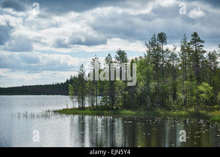 Lac finlandais au printemps, avec des arbres et un ciel nuageux Banque D'Images