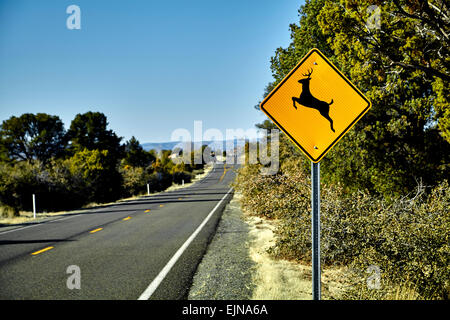 Deer Crossing Road Sign sur le côté de la route d'asphalte avec des pins Banque D'Images