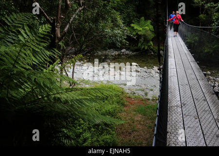 Les randonneurs à pied pont à Monro beach sentier à travers la forêt subtropicale Nouvelle-zélande Banque D'Images