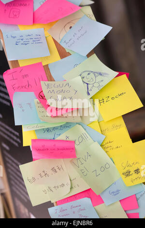 Post it avec des messages écrits sur dans diverses langues sur l'affichage dans la salle capitulaire, la cathédrale de Salisbury, Salisbury, Wilshire, Royaume-Uni en mars Banque D'Images