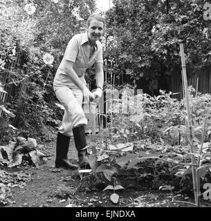 Penelope Keith, star de la série TV de la BBC "la bonne vie", que la force de caractère Margo Leadbetter, représentée dans le potager de sa maison à Putney, Londres du sud, 16 juillet 1976. Banque D'Images