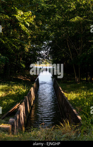 Canal d'irrigation, vallée du Po , Asti , Piémont , Italie Banque D'Images